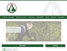 Tablet Screenshot of cfpp.com